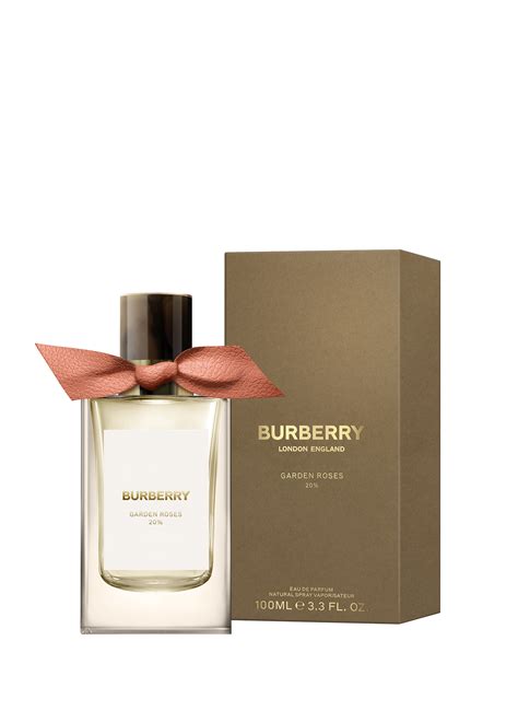 Burberry signatures roses